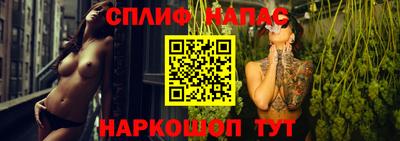 прущие грибы Донецк