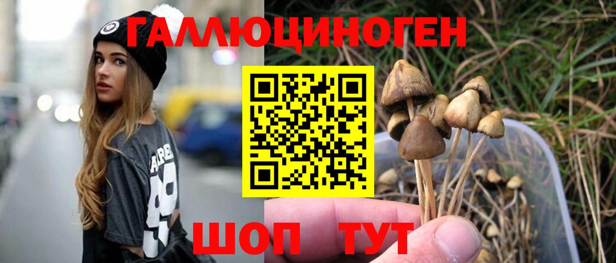 Псилоцибиновые грибы GOLDEN TEACHER Михайловка