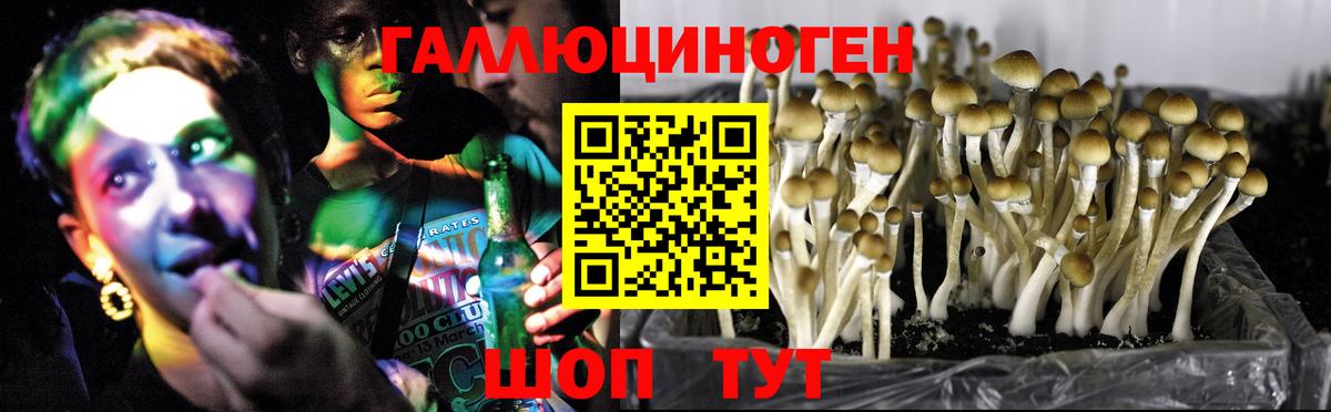 Псилоцибиновые грибы MAGIC MUSHROOMS  Вход с VPN  Михайловка  Псилоцибиновые грибы Magic Shrooms 